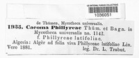 Caeoma phillyreae image